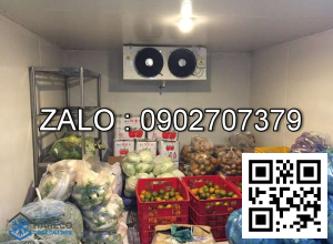 Kho lạnh bảo quản rau củ quả