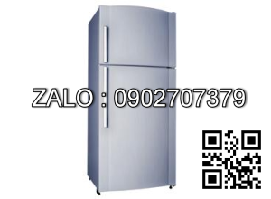 Tủ lạnh Toshiba R45VDVSZ