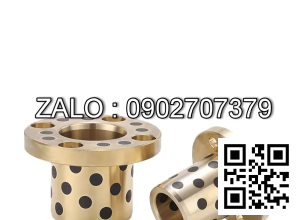 Bạc Đồng Tự Bôi Trơn Mặt Bích MPGZ 20x28x22