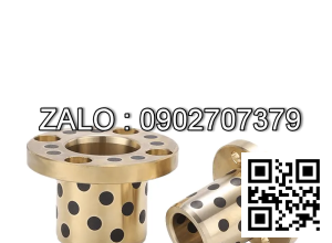 Bạc Đồng Tự Bôi Trơn Mặt Bích MPGZ 50x65x60