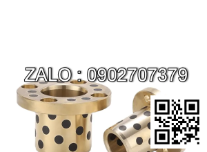 Bạc Đồng Tự Bôi Trơn Mặt Bích MPGZ 55x70x35