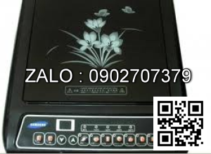 Bếp từ Philip P-B31