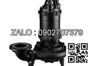 Máy Bơm Chìm Nước Thải Ebara 65 DL 51.5