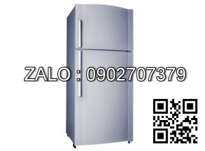 Tủ lạnh Toshiba W13VPT