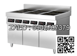 Bếp từ âu 6 họng công suất 3500W 35P6