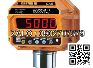 Sửa chữa Cân treo điện tử 30 Tấn