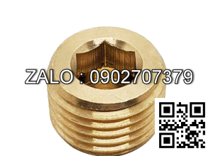 Ốc Nhét Nước Lục Giác Thép Đen Ren PT 3/8