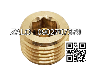 Ốc Nhét Nước Lục Giác Thép Đen Ren PT 1