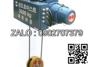  Palang điện cáp dầm đơn Sungdo