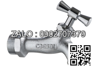 Vòi nước Caesar W034-1