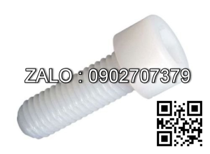 Bulong nhựa đầu lục giác chìm M4 ×0.7 × 20 mm