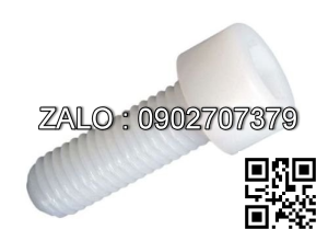 Bulong nhựa đầu lục giác chìm M6 ×1.0 × 20 mm