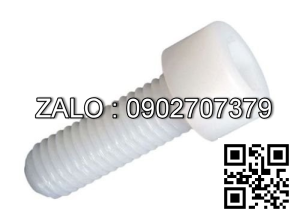 Bulong nhựa đầu lục giác chìm M8 ×1.25× 25 mm