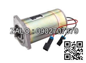 Motor 48V-300W