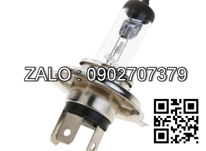 Bóng đèn xe nâng 24V 25,10W J56613 042