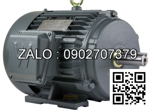 Motor điện 1 pha 1.1KW - 1.5HP 2 cực điện