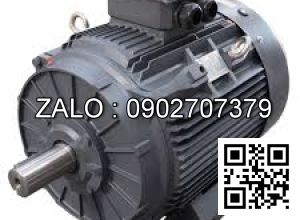 Motor điện 3 pha 500KW 4 cực điện
