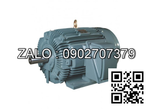 Motor điện 4 dây 22kW - 30HP