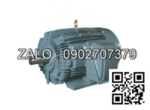 Motor điện 45KW - 60HP 2800 vòng