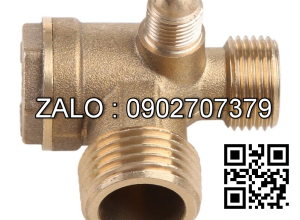 Co điếu ren trong Inox 304 4