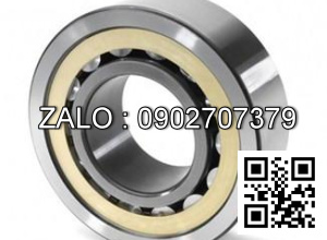 Vòng bi NSK NU 2205W 25x52x18 25*52*18 52x25x18