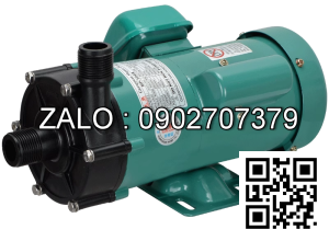 Máy Bơm TW-70R/220V ( Đầu bơm nhựa )