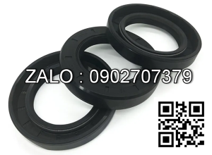 Phốt chắn dầu 25X42X10 SKF