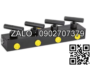 Manifolds 4 cổng AZ5124