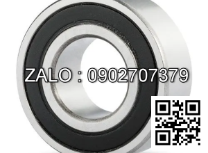 Vòng bi 6006NR