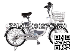 Xe đạp điện Bridgestone NPK16