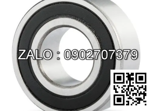 Vòng bi 6004ZNR