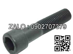 bulong lục giác M6x20mm
