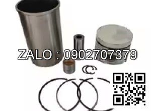 Bộ hơi động cơ FORD TW30 , 6 CYL , 6571 CM3