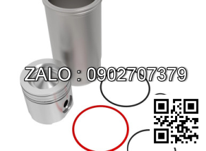 Bộ hơi động cơ FORD DOVER 110 -6AA , 6 CYL , 5947 CM3