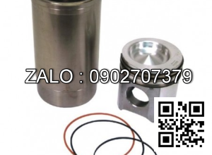 Bộ hơi động cơ VOLVO TAD 550 GE , CYL , CM3