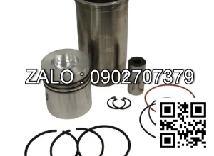piston động cơ FORD BSD442 , 4 CYL , 4195 CM3