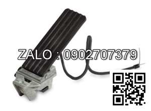 Biến trở chân ga tcm