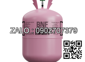 Bình gas lạnh BNF R32 10 kg