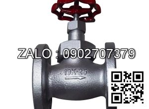 Van cầu ( hơi ) gang mặt bích DN1/8