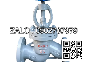 Van cầu ( hơi ) thép mặt bích DN8