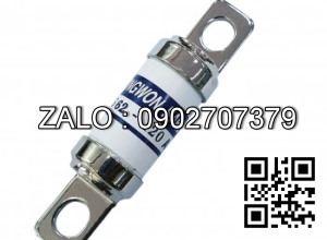 Cầu chì JR62-120A , 600V, 120A