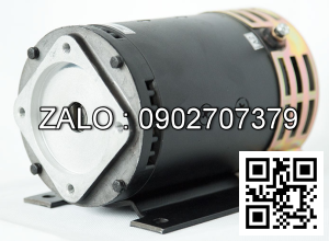 Steering Motor XQD-0.85-1