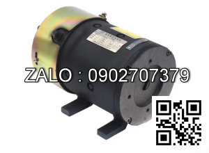 Steering Motor Z8230-110SY(110SYTOOL)