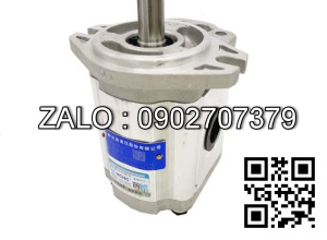 Bơm thủy lực bánh răng CBTD-F432-AFPR