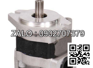 Bơm thủy lực bánh răng CBHQ-F27.2-ALHL