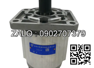 Bơm thủy lực bánh răng CBN-F63-BFHR