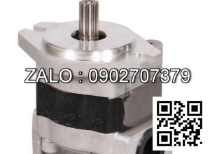 Bơm thủy lực bánh răng CBHQ-F36-ALHL