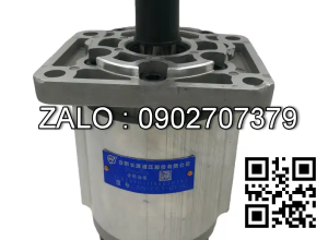 Bơm thủy lực bánh răng CBN-F50-BFPR