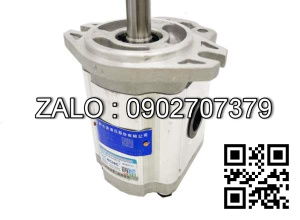 Bơm thủy lực bánh răng CBTD-F420-ALHL