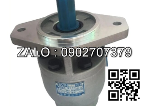 Bơm thủy lực bánh răng CBF-E510-ALHL